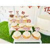 Texas Longhorns Cupcake Toppers (24 Pcs) University of Texas Longhorns Party Supplies for UT Austin Football, Birthday Gift, Graduation Party Decorations (Texas Longhorns)