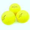 Aolowewin Glow in The Dark Spike Replacement Balls, Roundnet Game Balls - Play at Night, Light Up for 20~30 Minutes (3X Glow Balls+UV Flashlight)