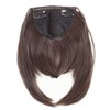 Qunlinta Clip in Bangs Hair Extensions One Piece in Fringe Bangs Hairpiece Synthetic Hair Accessories For Women