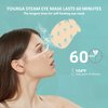 Yourga Christmas Steam Eye Mask Chinese Acupuncture Points 10 Packs for Dark Circles and Puffiness, 60 Minutes Self Heated Eye mask for Relief Eye Fatigue Disposable Warm Eye Mask for Dry Eyes