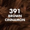 Dark & Lovely Hair Color Fade Resist 391 [Brown Cinnamon] (Pack of 4)