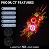 BrickBling LED Light Kit Compatible with Lego Icons Dried Flower Centerpiece 10314, Creative Lighting Compatible with Lego Artificial Plants Set (Lights Only, No Model)