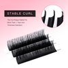TDANCE Premium C CC D DD J B L Curl 0.03-0.18mm Thickness Semi Permanent Individual Eyelash Extensions Silk Volume Lashes Extensions Professional Salon Use(D,0.05,13mm)