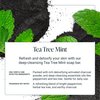The Bubble Factory Tea Tree Mint - Handmade in the USA, Palm Oil Free, All Natural Bar Soap, 3 Bars