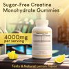 Sugar-Free Creatine Monohydrate Gummies (1g/gummy for Intake Control) Potent Creatine Gummies for Men & Women, Creatine Supplement for Muscle Support, Cellular Energy & Cognitive Function, Gluten-Free
