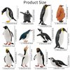 Toymany 12PCS Realistic Penguin Figurines, Plastic Polar Antarctic Animal Figures Set with Penguin Cub, Easter Eggs Cake Toppers Christmas Birthday Gift for Kids Toddlers