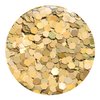 GLITTIES - (6PK) - Holographic Gold & Silver Glitter Kit - Solvent Resistant & Great for Nail Art Polish, Gels, Acrylics Supplies - Quality Glitter Made in the USA! - (60 Grams)