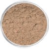 Lauren Brooke Cosmetiques Natural Makeup Powder Foundation (13 Gram, Cool No. 50)