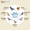 Nature's Way BBFM1 Bluebird Buffet Metal Bird Feeder with Protective Baffle, Outdoor Wild Bird Feeder and Décor, One Glass Dish with 3/4 Cup capacity, Blue