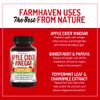 Apple Cider Vinegar Capsules With Ginger, Papaya & Chamomile | 1390mg | Improves Digestion, Energy, Immunity | Soothes Gas & Bloating Issues | Like With Mother | Non-GMO & 100% Natural | 90 Capsules