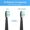 10 Pack Replacement Heads Compatible with Fairywill Toothbrush Heads Electric Handles FW-507/508/551/D1/D3/D7/D8/FW908/FW910/917/949/958/959/FW610/FW659/FW719