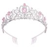Didder Silver Tiara for Women, Pink Crystal Tiaras and Crowns for Women Tiaras for Girls Elegant Crown with Combs Princess Crown Tiara Birthday Crowns for Women Bridal Wedding Prom Birthday Party