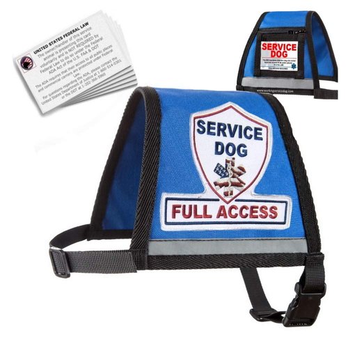 Complete Service Dog Vest with Exclusive Patch, ID Badge and Zipper Pocket (35" - 39" Girth (L), Blue) - Includes a complimentary 5 Pack of Service Dog Law Cards