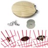 Hamiledyi 4 Pcs Natural Wood Hamster Stand Platform Rat Activity Playground Chinchilla Cage Accessories with Stainless Steel Washers for Bird, Parrot, Mouse, Gerbil and Dwarf