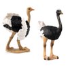 BLAPNK 2 Pcs Realistic Ostrich Figurines Cake Topper, Plastic Wildlife Animal Toy Figures Collection Playset Educational Learning Props(Ostrich)