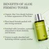 Aloderma Firming Skin Toner with 91% Organic Aloe Vera - Natural Facial Toner for Women with Natural Botanicals to Diminish The Appearance of Fine Lines & Wrinkles - Aloe Vera Facial Toner - 4.2 Oz