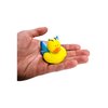 Butterfly Green, Blue, Red & Purple Novelty Rubber Ducks (12 Pack) Quirky & Fun Carnival Game PRIZES. Bath Tub Toys and Jeep Duck Ducking.