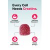 Baese Nutrition Creatine Monohydrate Gummies for Men & Women - High Purity Sour Blue Raspberry- Chewable Creatine Infused Gummy for Muscle Strength & Energy Boost, Bioavailable Pre-Workout Supplement