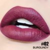 FOCALLURE Ultra Matte Liquid Lipstick,Longwear Rich Lip Colors,Easy to Create a Sexy Lips with High-grade Formula,Long Lasting Waterproof Lipstick Make Up,BURGUNDY