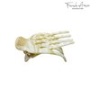 French Amie Bear Paw Small 2 ¾” Celluloid Handmade Hair Claw Clip Non Slip Flexible Hair Claw Clip for Thin Hair Yoga Jaw Brill Beak Alligator Women Hair Accessories, Made in France (Ivory)