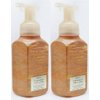 Bath and Body Works 2 Pack Cinnamon Pine Cone Gentle Foaming Hand Soap 8.75 Oz.