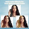 IIIMEIDU Hair Dye Shampoo 3 in 1 for Gray Hair, Herbal Ingredients Shampoo Black Hair Dye for Women Men, Grey Coverage Shampoo 500ml (Black)