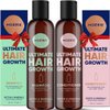 Moerie Volumizing Shampoo and Conditioner for Hair Loss - Thickening Products with Ingredients of Natural Origin - Over 100 Active Ingredients for Thick, Long, Luscious Hair, 2 X 8.45 Fl Oz