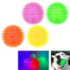 2 Pack LED Light-up Spike Ball Pet Dog Toy Rubber Flash Entertained Fetch Toy