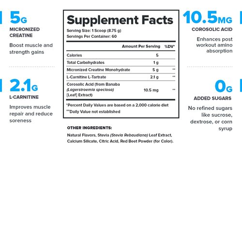 LEGION Recharge Post Workout Supplement (Strawberry Lemonade) - All Natural Muscle Builder & Recovery Drink with Micronized Creatine Monohydrate. Naturally Sweetened & Flavored 60 Serving