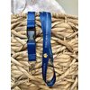 Desert Cactus Texas A&M University Commerce Lanyard TAMUC Lions Car Keys ID Badge Holder Keychain Detachable Breakaway Snap Buckle (Blue)
