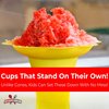 Leak Proof & Drip Catching, Super Cute Reusable 4oz Flower Snow Cone Cups 10 Pk, Colorful Easy Grip Bowls Perfect for Birthday Party, Summer Cookout, Shaved Ice, Snack, Ice Cream, Standalone Design