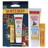 Burts Bees Hive Favorites Kit - Beeswax Unisex 0.15oz Beeswax Lip Balm with Vitamin E and Peppermint, 1oz Body Lotion with Milk Honey 2 Pc Multi-colored