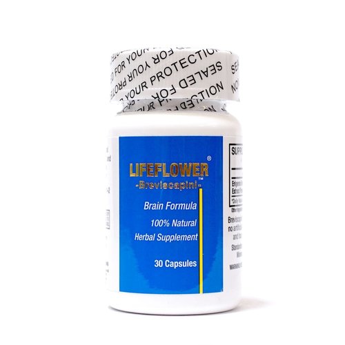 Lifeflower, 100% All Natural, Youthful brain Herbal Supplement, Support Cerebrovascular System, Improve Memory, 30 Capsules