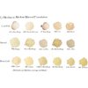 Mineral Foundation Lightest Shades - Porcelain Through Ivory (6 Shade Sampler Pack 2-3 Neutral)