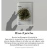 Abib Mild Acidic Ph Sheet Mask Jericho Rose Fit 10 Sheets I Nourishing Facial Mask