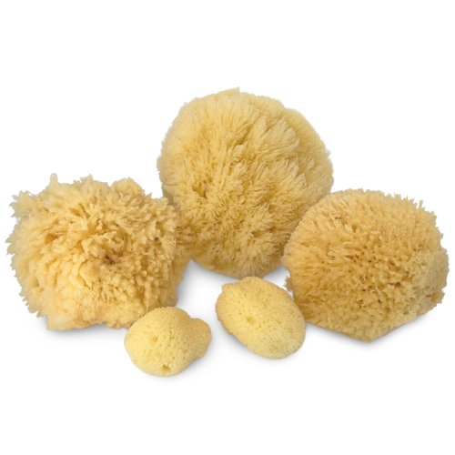 Real Natural Sea Sponges Multipack - 5pc Spa Gift Set in Premium Bag, Kind on Skin, for Bath Shower Facial Cleansing, Pamper Moms Brides Girlfriends & Teens (5 Pack Standard Packaging)