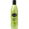 ShiKai Tea Tree Shampoo (12 Fl Oz) Wake Up with Peppermint & Tea Tree | Refresh & Stimulate Your Scalp | Soap Free Alternative | Moisture for Daily Use