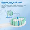 Replacement Toothbrush Heads Compatible with Philips Sonicare Electric Toothbrush,Replacement Brush Head for Replacement Heads C1 C2 G2 W 4100 HX6062/65 and More Philips Snap-on Handles