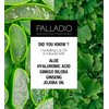 Palladio Hydrating Lip Oil Infused with Hyaluronic Acid, Non-Sticky Formula, Subtle shine with tinted sheer color, liquid lipstick, prevents chapped lips, Vegan & Cruelty-Free | 0.13 Oz. (NOT!)