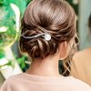 2pcs French Hair Pin, 10.7x3.4cm/4.21x1.34inch Metal French Hair Pins French Twist Hair Pin Hair Sticks Gold Silver Hair Clip Hair Hair Accessories for Women (Type4)