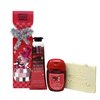 Bath & Body Works Winter Candy Apple Mini Hand Care Gift Bag Set - Hand Cream and Hand Gel - with a Natural Oats Sample Soap