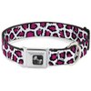 Buckle-Down Seatbelt Buckle Dog Collar - Leopard White/Fuchsia - 1" Wide - Fits 11-17" Neck - Medium