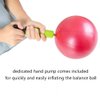 Jogi-HHACQUIT Mini Fitness Exercise Ball Kit with Hand Pump for Yoga, Pilates, Body Balance, Core Training and Stability, 8"