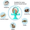 Enochainchin Small Animal Treat Ball Toy, 360° Rotating Hedgehog Toys with Suction Cup, Hedgehog Enrichment Toys, Hedgehog Supplies, Hedgehog Cage Toys, Rat Enrichment Toys, Hamster Toys