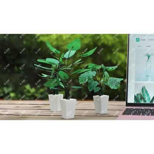 iLAND Dollhouse Accessories of Miniature Plants, Mini Dollhouse Plants DIY Kits 1/12 Scale Accessories DIY Projects