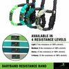 DartBand Premium Resistance Bands with Handles,Door Anchor,and Carabiner Clip for Athletic Training,Rehab,Strength Training,Yoga,Physical Therapy,Home Workout Solution-Medium Resistance,Aqua