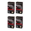 OS Speedy Hair Color No.4 Light Chestnut Hair Dye Covers Gray Hair in Just 60 Seconds Without any odor Ammonia FREE (Pack of 4)