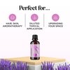 Pure Lavender Essential Oil - Premium Lavender Essential Oil for Hair Skin and Nails - Aromatherapy Lavender Oil for Diffusers Humidifiers and Linens Plus Natural Bath Oil for Home Spa Self Care