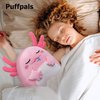 Axolotl Plush Cute Stuffed Animals Soft Pillow Room Decorations Hugging Toys Birthday Gifts 9.45 inches