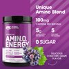 Optimum Nutrition Amino Energy - Pre Workout with Green Tea, BCAA, Amino Acids, Keto Friendly, Green Coffee Extract, Energy Powder - Concord Grape, 30 Servings